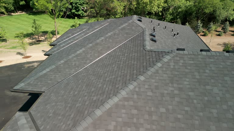 Best Solar Panel Roofing Installation  in World Golf Village, FL
