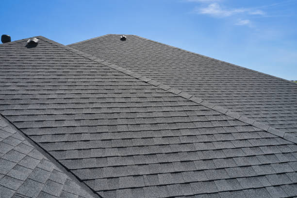 Best Roof Ventilation Installation  in World Golf Village, FL